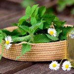 Diverse geneeskrachtige kruiden zoals kamille, pepermunt en ginseng voor natuurlijke gezondheidsondersteuning